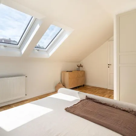 Starlight * 부다페스트